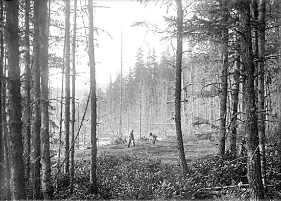 Girl and boy playing in a clearing in the forest
