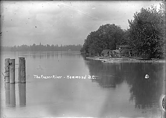 The Fraser River - Hammond, B.C.
